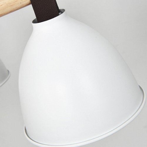 Потолочная люстра ImperiumLoft FLAN01