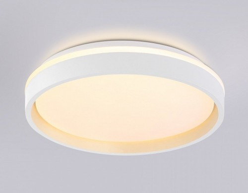 Накладной светильник Ambrella Light FZ FZ601