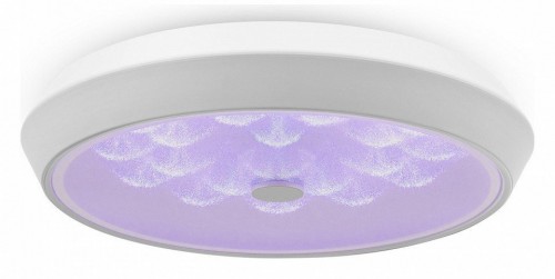 Накладной светильник Freya LED FR10012CL-L24W