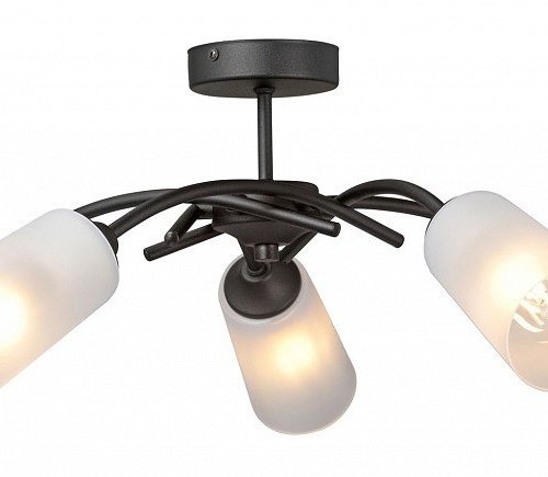 Потолочная люстра Vitaluce V2850-1/5PL Потолочная люстра Vitaluce V2850-1/5PL