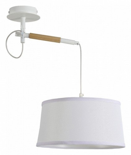 Подвесной светильник F-Promo Eureka 3005-1P