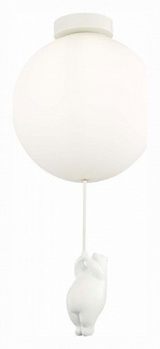 Потолочная люстра Evoluce Modena SLE115412-01