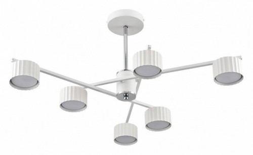 Потолочная люстра Lumion Karina 8241/6C