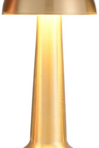 Интерьерная настольная лампа LArte Luce Cooee L46234.92