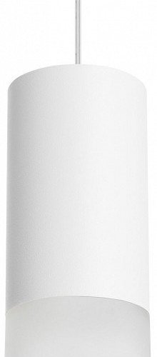 Подвесной светильник Lightstar Rullo RP43631