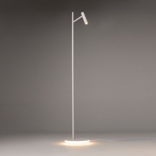 Торшер Maytoni Estudo Z010FL-L8W3K