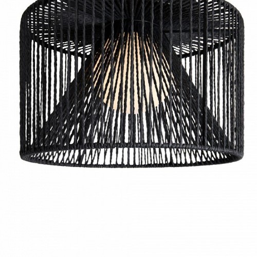 Накладной светильник Freya Cottage FR5405CL-01B1 Накладной светильник Freya Cottage FR5405CL-01B1