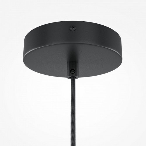 Подвесной светильник Maytoni Roots MOD193PL-01W1