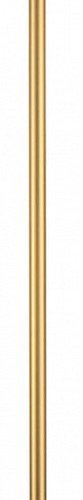 Настенный светильник Odeon Light Fillini 4335/12WGP Настенный светильник Odeon Light Fillini 4335/12WGP