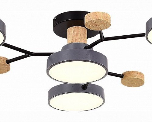 Потолочная люстра EVOLUCE Faema SLE6006-702-04