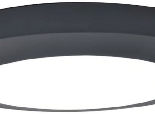 Потолочный светильник уличный Oasis Light SIDNEY LED W3922 Gr