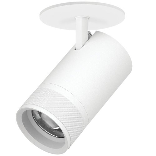 Спот Canno Pro C4406RS