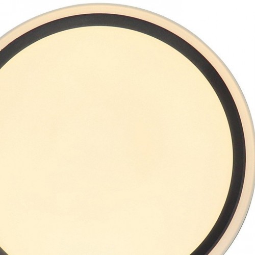 Потолочный светильник Zortes Bella ZRS.1201.04