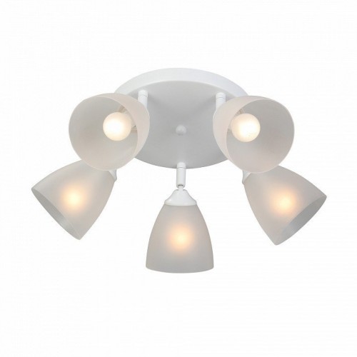 Потолочная люстра Vitaluce V4355-0/5PL