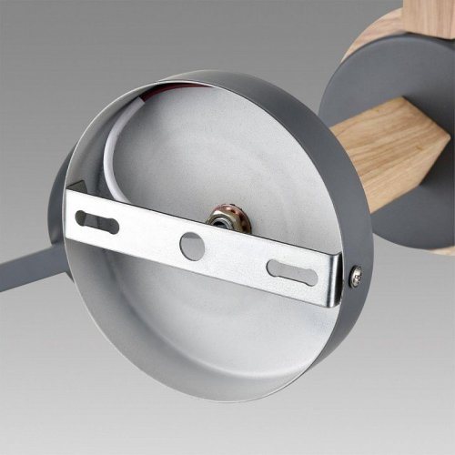 Потолочная люстра Lumion Colange 8096/6C Потолочная люстра Lumion Colange 8096/6C