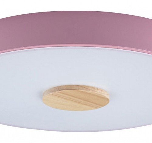 Потолочный светильник Loft IT Axel 10003/24 Pink