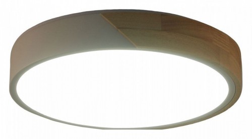 Потолочный светильник Zortes Alberro ZRS.01239.90