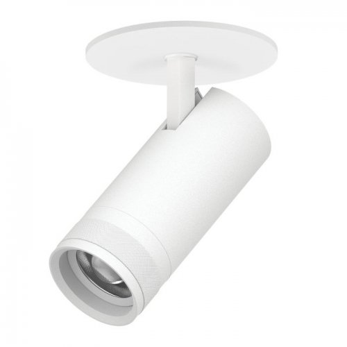 Спот Canno Pro C4206RS