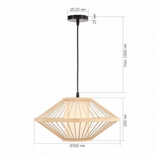 Подвесной светильник ST Luce SL6241.533.01 Подвесной светильник ST Luce SL6241.533.01