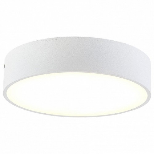 Накладной светодиодный светильник Citilux Тао CL712180N