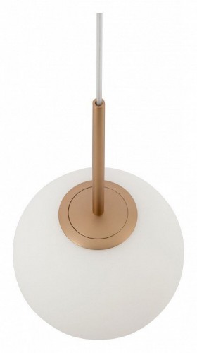 Подвесной светильник Maytoni Basic form MOD321PL-01G3