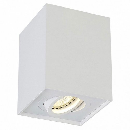 Потолочный светильник Crystal Lux CLT 420C WH