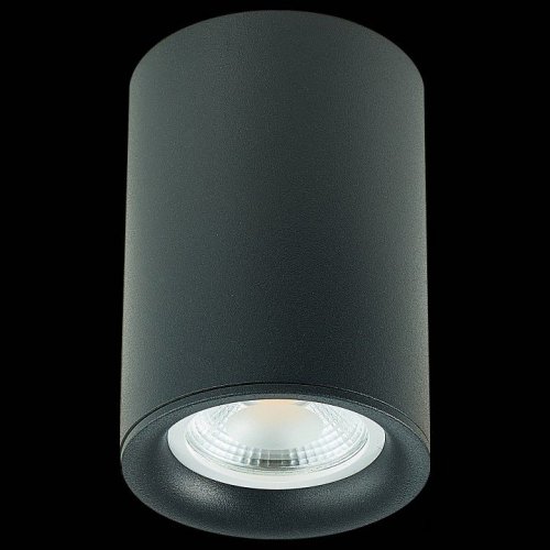 Потолочный светильник ST Luce ST114.407.01 Потолочный светильник ST Luce ST114.407.01