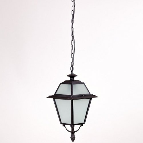 Уличный светильник подвесной Oasis Light FARO-FROST L 91105fL Bl