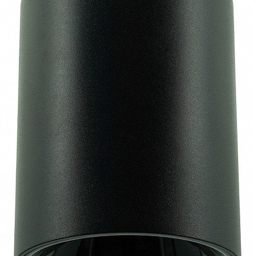 Накладной светильник LIGHTERA Shamrock LE200CL-1B