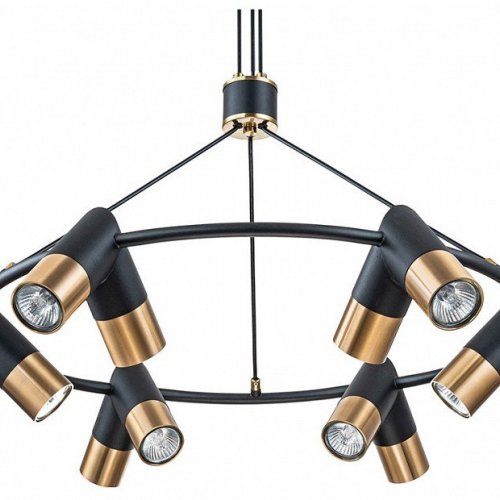 Подвесная люстра Indigo Doppio 11036/12P Black