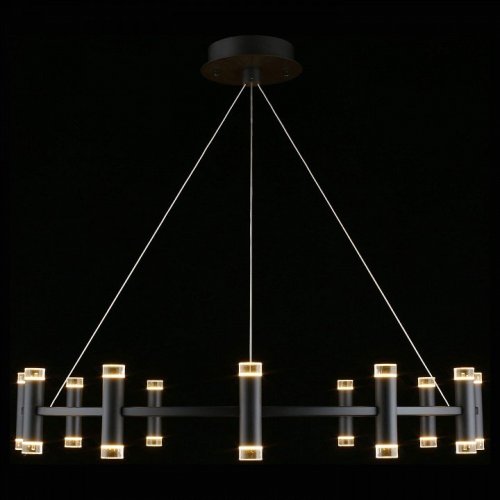 Подвесная светодиодная люстра Aployt Klarcia APL.037.03.120