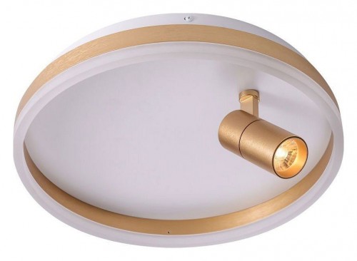 Потолочный светильник Zortes Raizy ZRS.1888.04