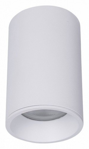 Потолочный светильник Maytoni Technical Zoom C029CL-01-S-W