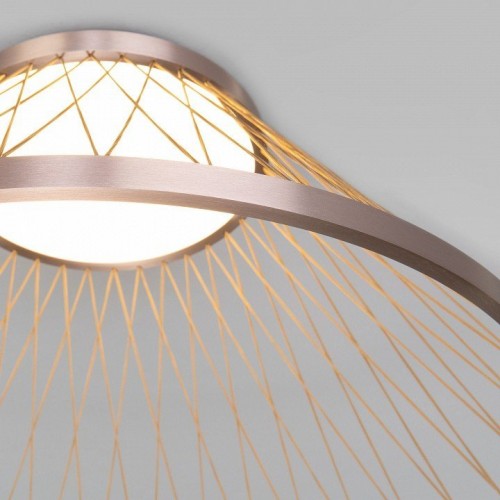 Потолочный светильник Eurosvet Cesta 40019/1 LED коричневый