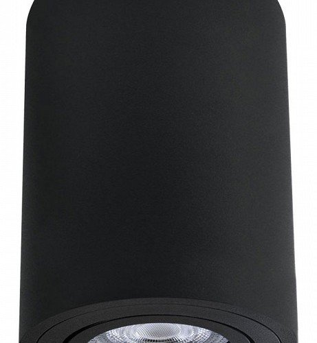 Точечный светильник Arte Lamp Sentry A1566PL-1BK