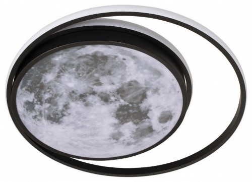 Потолочная люстра Loft IT Luna 10217