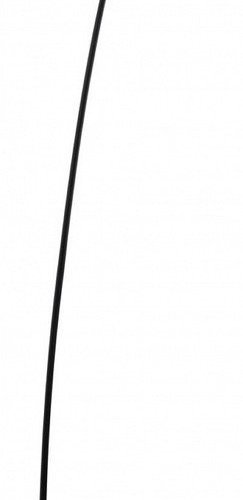 Торшер Aployt Leonn APL.653.05.30