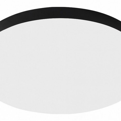 Потолочный светильник 48888 Потолочный светильник 48888