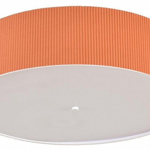 Потолочный светильник Lumion Gofera 8329/5