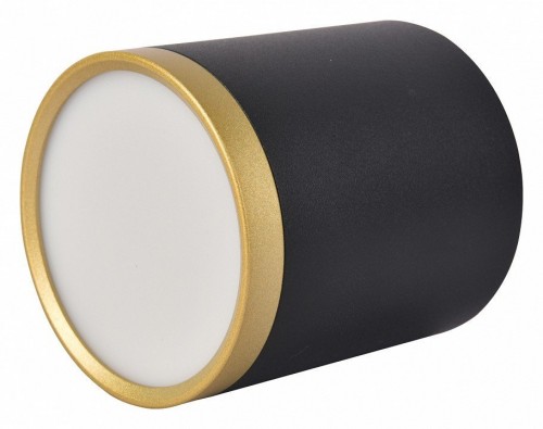 Потолочный светильник Favourite Baral 3081-1C