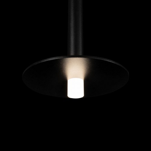 Подвесной светодиодный светильник Loft IT Reed 10358/830 Disk