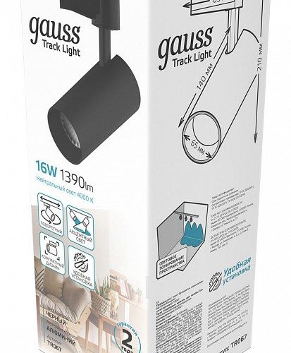 Светильник на штанге Gauss TR TR067
