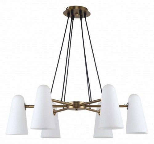 Подвесная люстра Favourite Vision 2763-6P