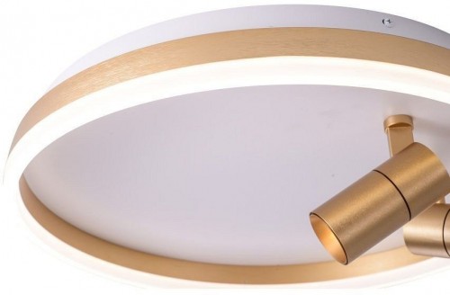 Потолочный светильник Zortes Raizy ZRS.1888.02