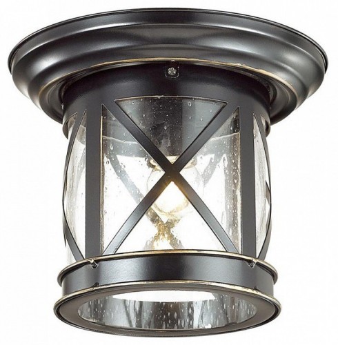 Уличный потолочный светильник Odeon Light Sation 4045/1C