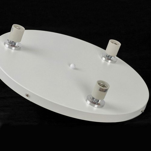 Потолочная люстра Lussole LSP-8904