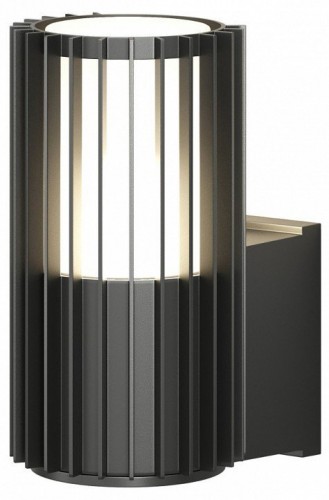 Уличный настенный светильник Denkirs Farsun DK9722-BK