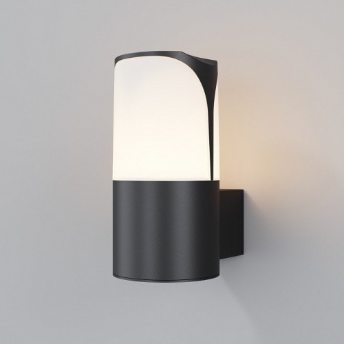 Уличный настенный светильник Maytoni Piccadilly O016WL-01B