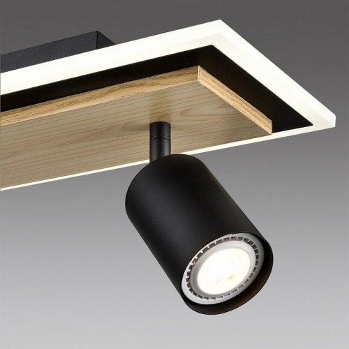 Спот Lumion Pine 8025/20WL Спот Lumion Pine 8025/20WL