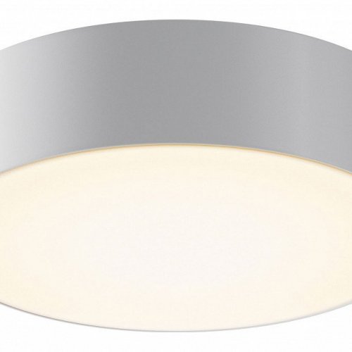 Потолочный светильник уличный Zon IP O431CL-L30W3K